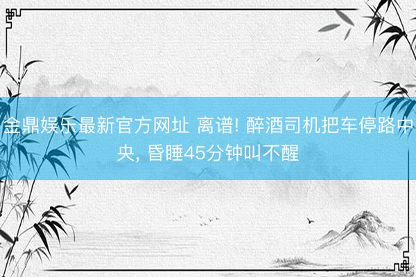 金鼎娱乐最新官方网址 离谱! 醉酒司机把车停路中央， 昏睡45分钟叫不醒